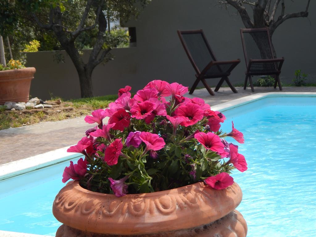 Villa Aliki Rafína Esterno foto