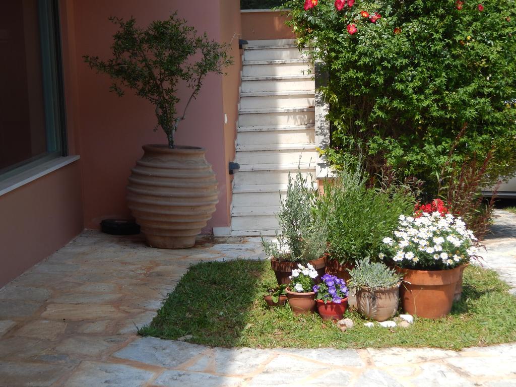 Villa Aliki Rafína Esterno foto