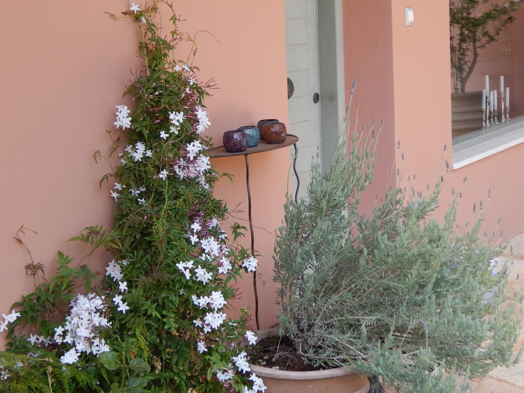 Villa Aliki Rafína Esterno foto