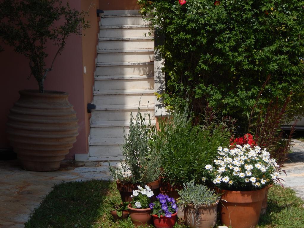 Villa Aliki Rafína Esterno foto